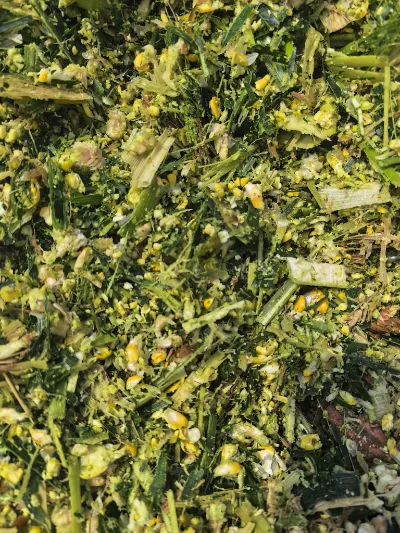 Welke sterke punten maken Yiman Agriculture uw ideale leverancier voor bulkimportprojecten voor zuurkool?