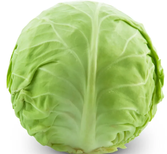 Hoe kunt u hoogwaardige biologische verse ronde kool verkrijgen voor de wereldwijde groothandel?