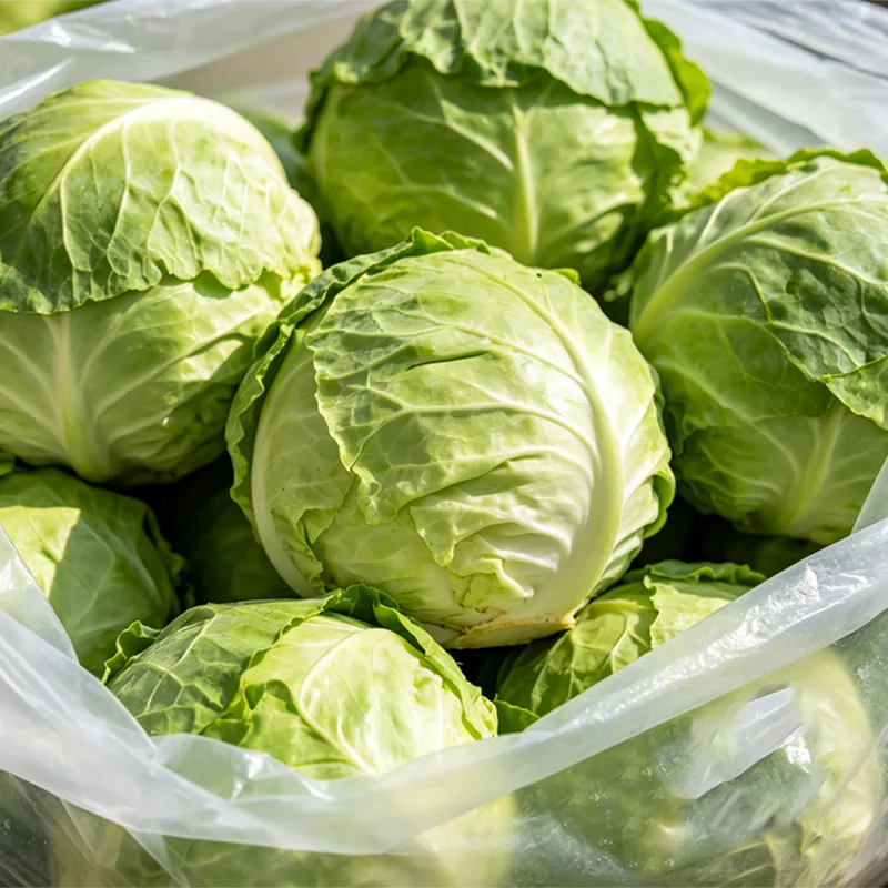 Netzak verpakt ronde kool